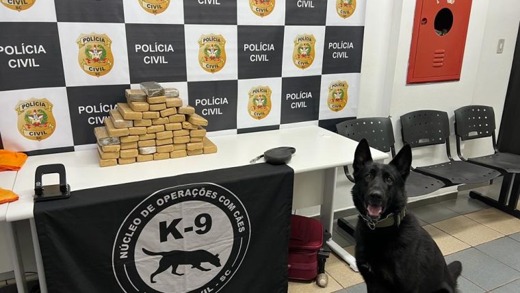 Polícia Civil