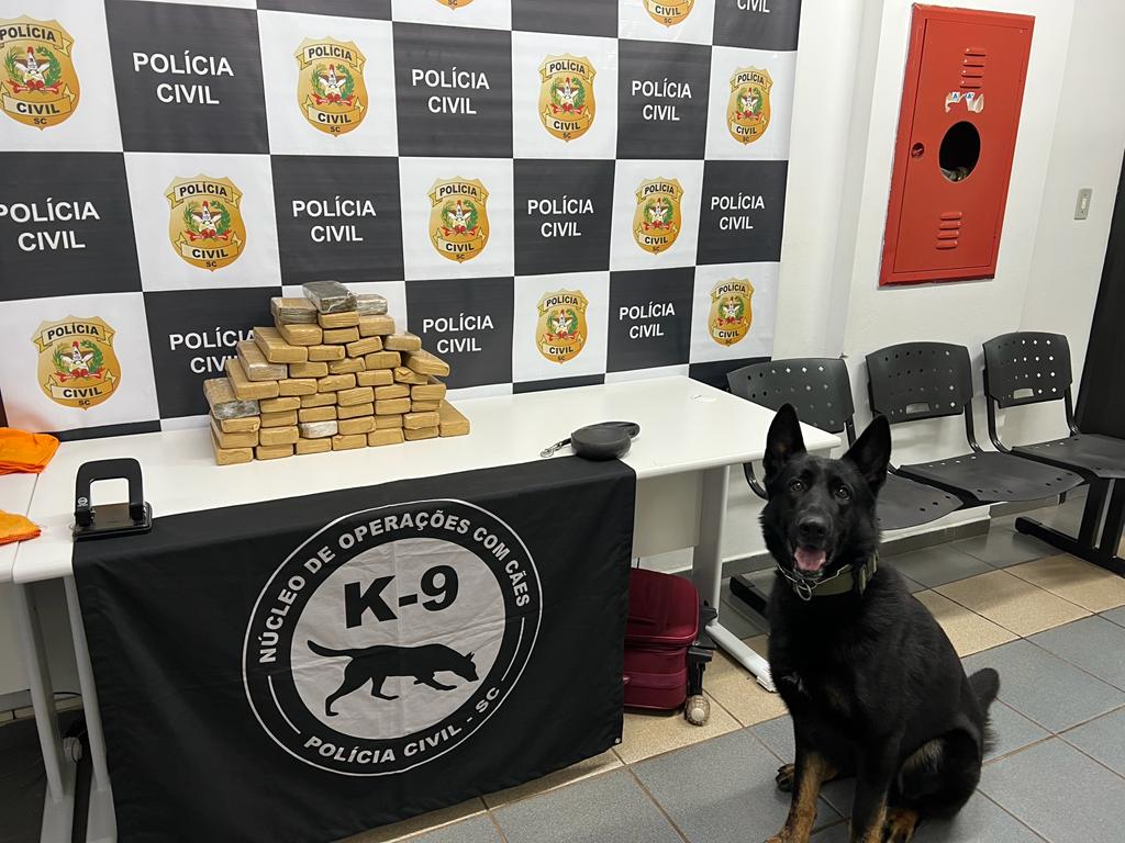 Polícia Civil